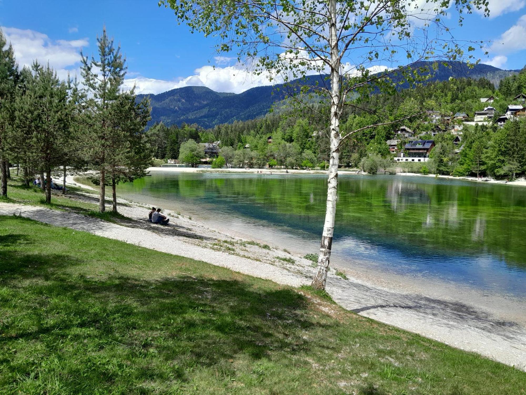 Les Chalet Kranjska Gora I ภายนอก รูปภาพ